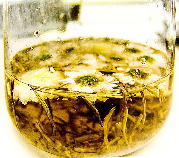 Chrysanthemum tea, the drink that prolongs life