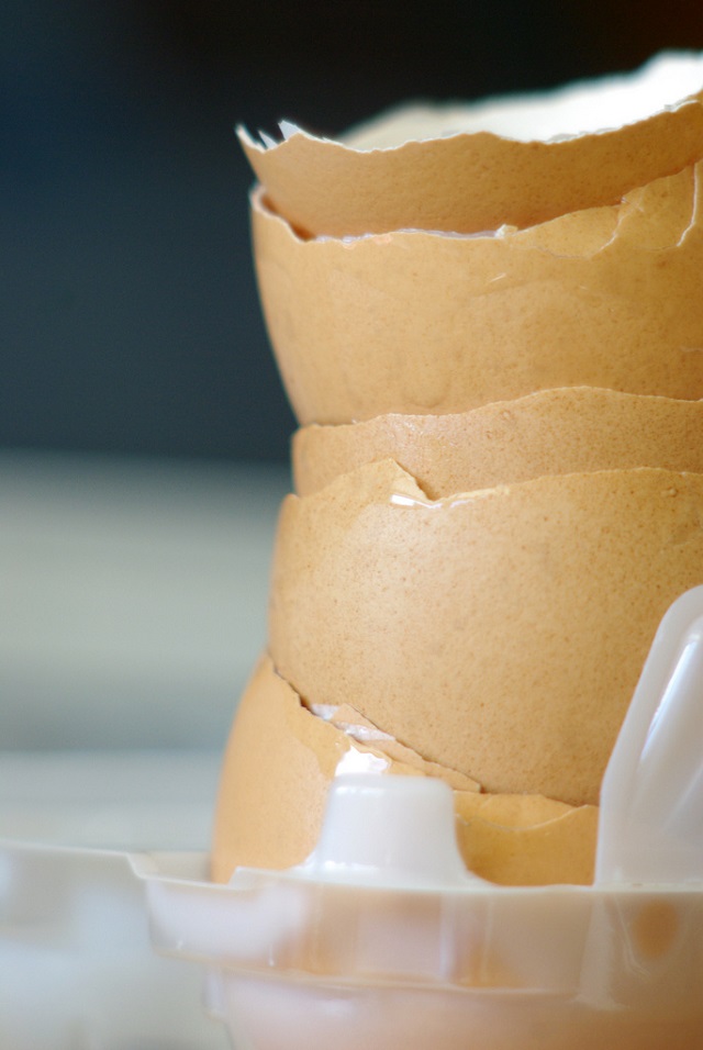 Why you should never throw out eggshells