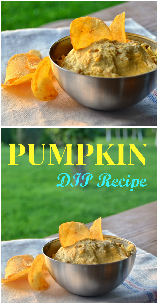 Pumpkin DIP Recipe - a must-try