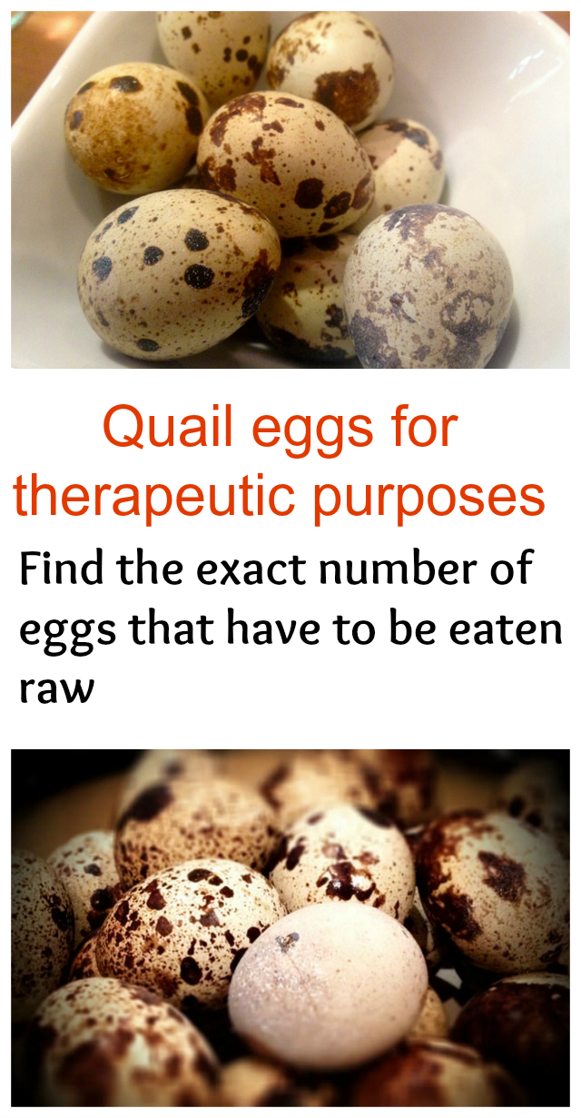 Quail eggs for therapeutic purposes  - Find the exact number of eggs that have to be eaten raw