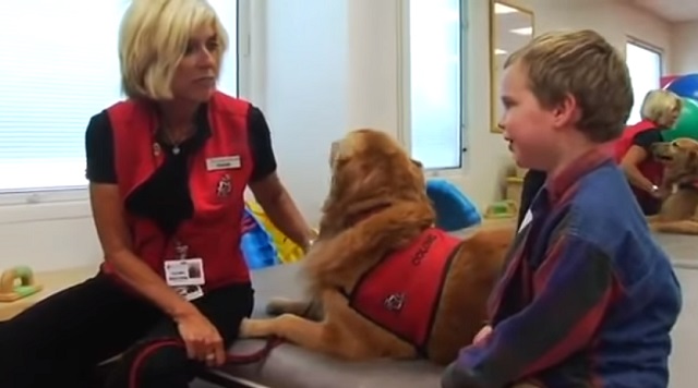 This paralyzed child met a dog. What happened a month later will leave you speechless