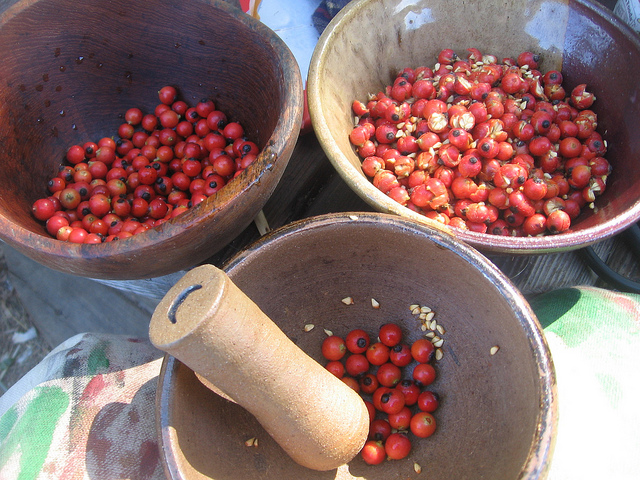 Rose hips, one of the most valuable fruits in the world