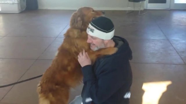 Long lost dog reunited with family after 20 months of separation!