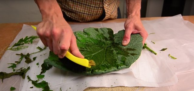 Find the largest leaf you can, and use it to make a beautiful platter