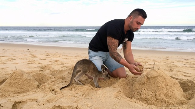 Men adopted a baby kangaroo, now they are best friends