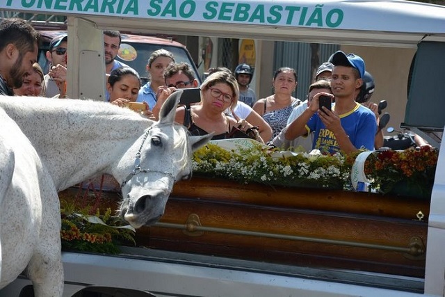 It’s not only people who cry - the reaction of a horse at his master's funeral