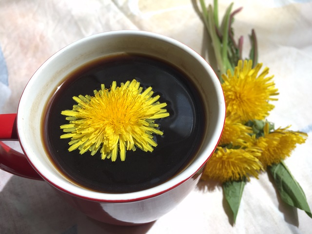 How to make dandelion coffee, an excellent cleanser for the liver and the blood