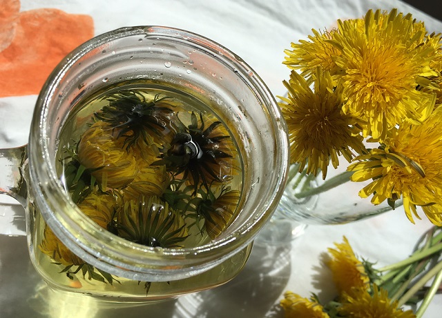 Dandelion infusion clears spots, speckles and acne, improves the eyesight and cures many illnesses of the skin
