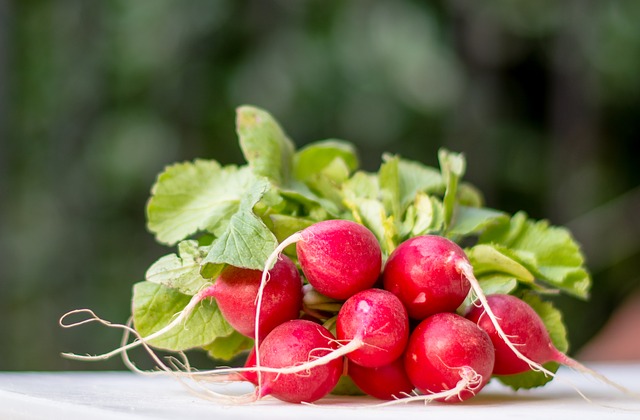 Red radishes for the urinary system - recipe and benefits