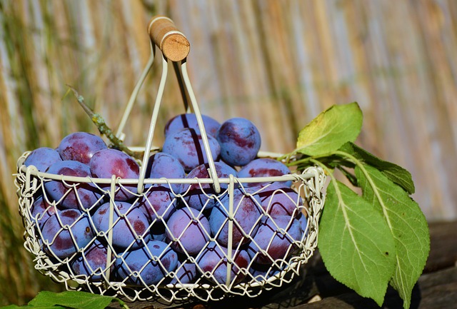Use plums to say goodbye to constipation