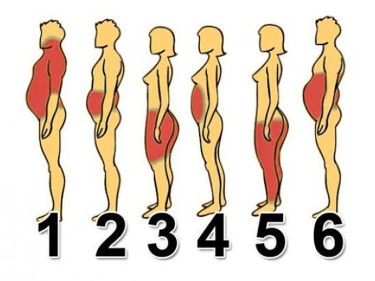 How to lose weight depending on body shape and where the fat is stored