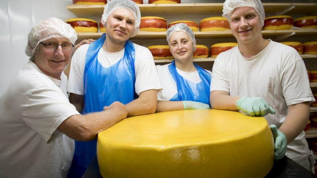 The cheese recently chosen as the tastiest in the world