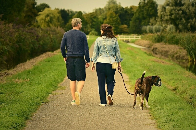15 minutes of daily walking may create a radical change in your body