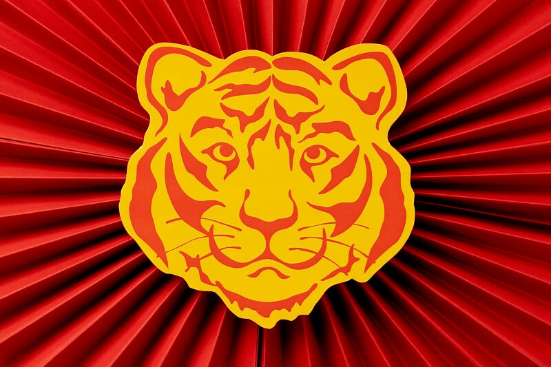 2022, The year of the water tiger: Chinese horoscope for the rat sign